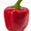 Capsicum Red