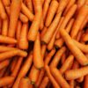 Organic Carrots