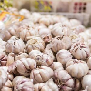 Garlic