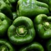 green Capsicum